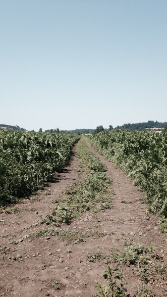 More Photos Of Wipper Rd, Salem Land For Sale