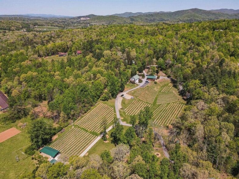 More Photos Of 366 Paradise Rd, Blairsville Winery Vineyard For Sale