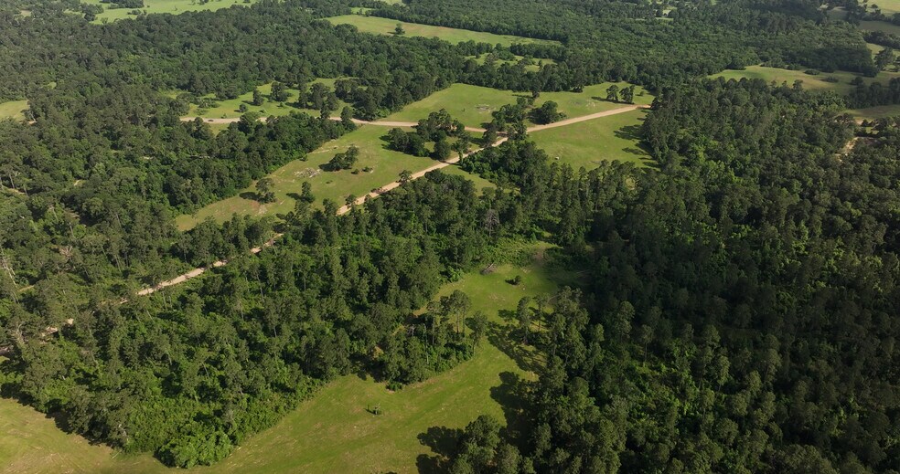 More Photos Of 2268 FM 1486, Montgomery Land For Sale