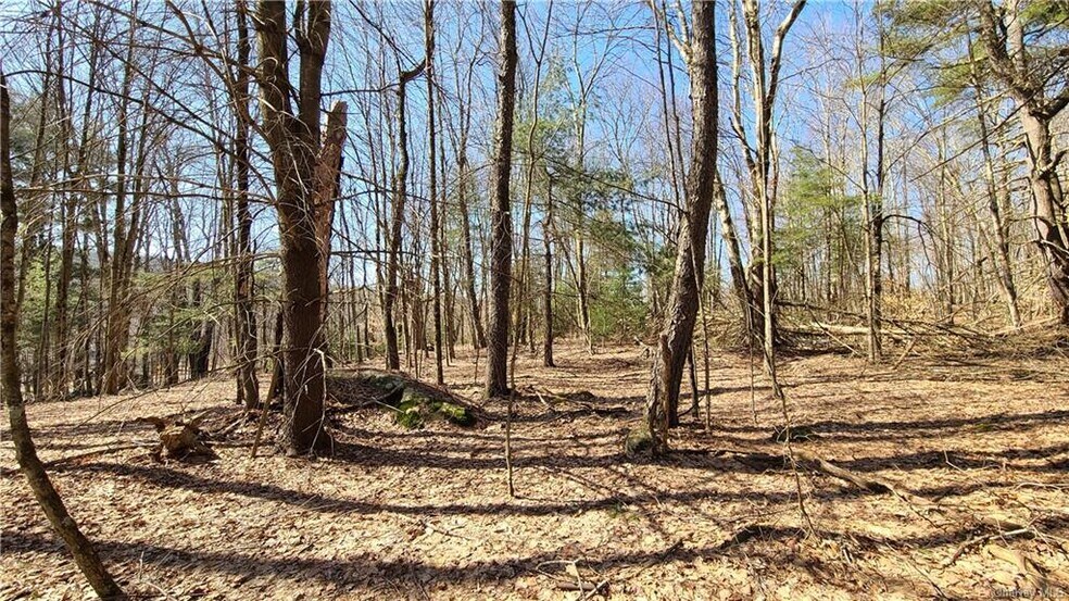 More Photos Of Old Route 17 @ County Route 174, Harris Land For Sale