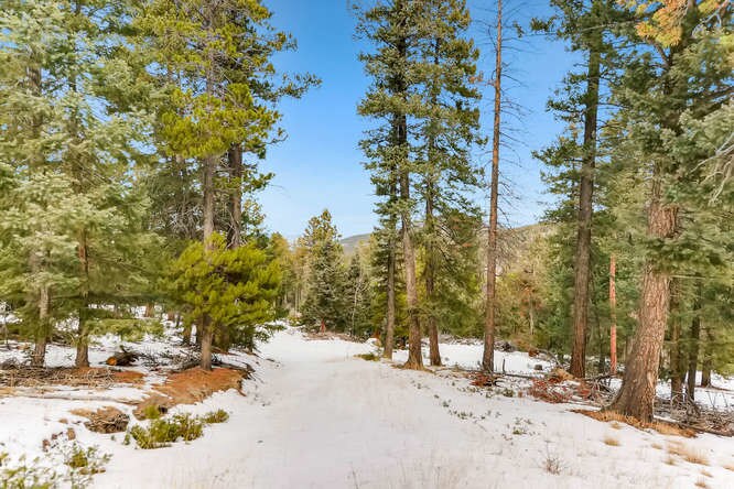 More Photos Of 26209 Pleasant Park Rd, Conifer Land For Sale