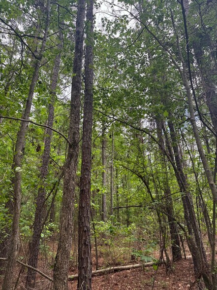 More Photos Of Mira Levee and Hwy 71, Mira Land For Sale