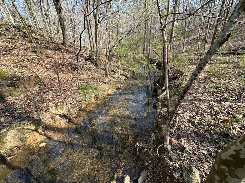 More Photos Of 7312 Highway 60, Georgetown Land For Sale