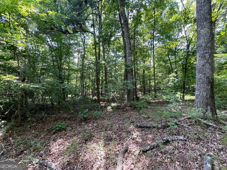 More Photos Of 0 Fallen Branch Circle Southeast, Rome Land For Sale