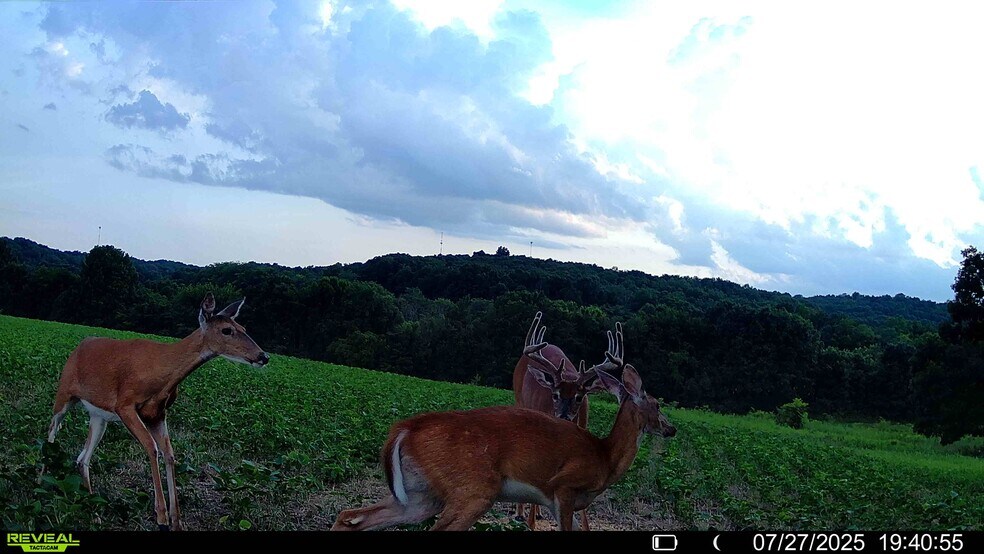 More Photos Of Highway D (77.2+/- Acres) Tract 1, Eolia Land For Sale