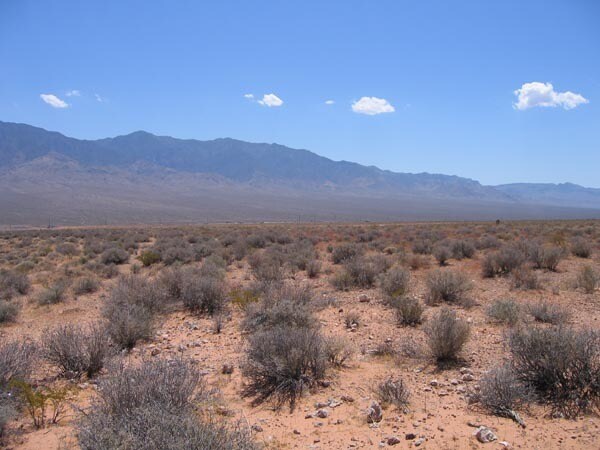 More Photos Of 590 N Virgin Acres Blvd, Littlefield Land For Sale