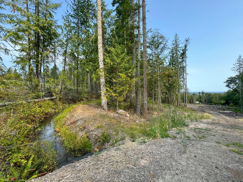 More Photos Of 319 Reservoir rd, Sequim Land For Sale