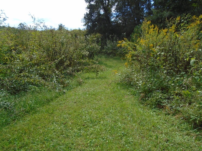 More Photos Of 212 Dunlap Hollow, Friendsville Land For Sale