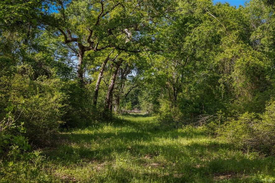 More Photos Of 15157 Private Rd, Normangee Land For Sale
