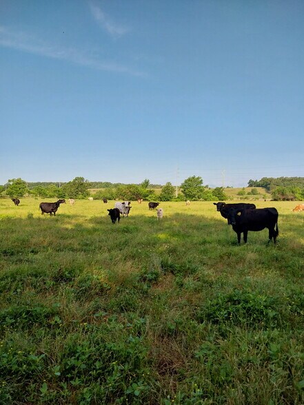 More Photos Of TBD FM 857 Rd, Grand Saline Land For Sale