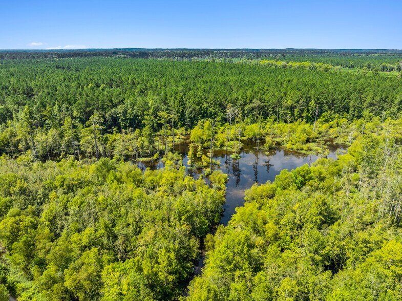 More Photos Of 7471 Highway 155, Saline Land For Sale