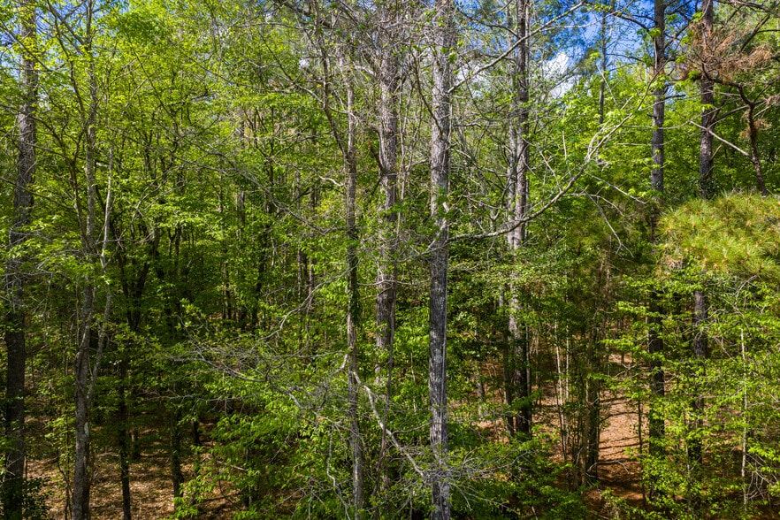 More Photos Of HWY 7, Mount Holly Land For Sale