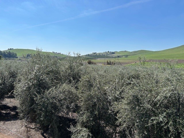 More Photos Of 24257 Ave 234, Lindsay Land For Sale