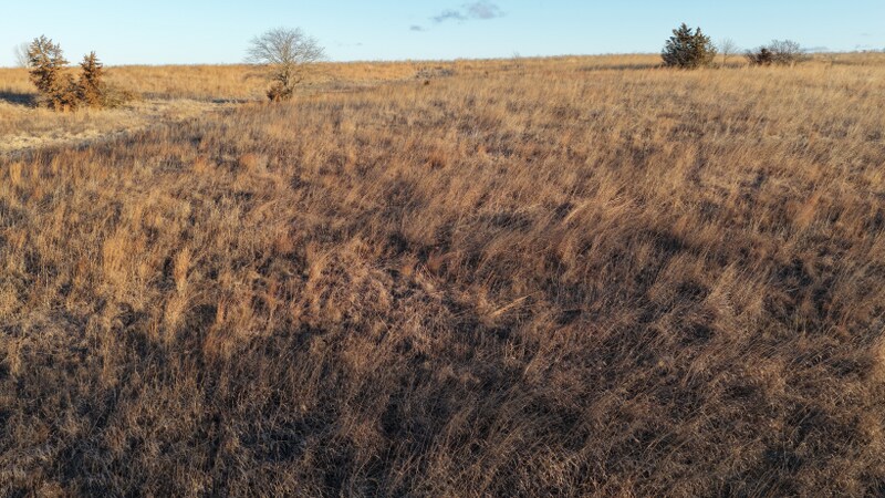 More Photos Of Hwy 169, Mount Ayr Land For Sale