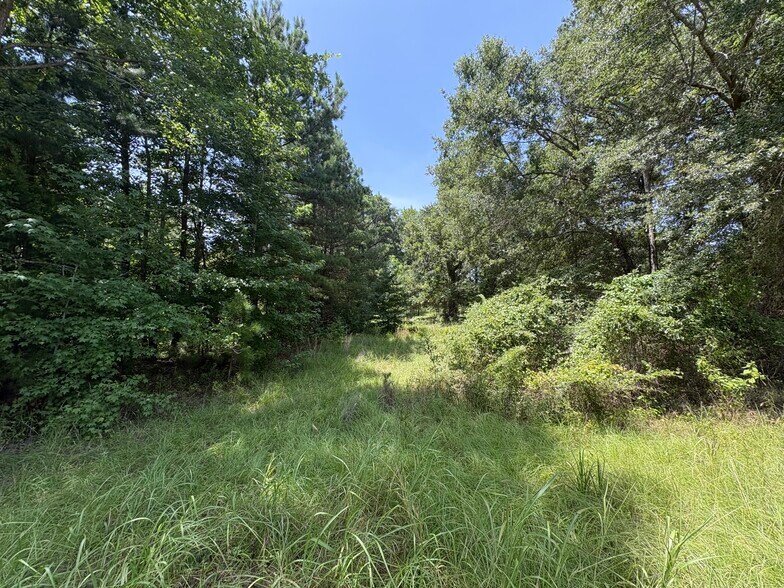 More Photos Of 17688 Fisherman's dr, Troup Land For Sale