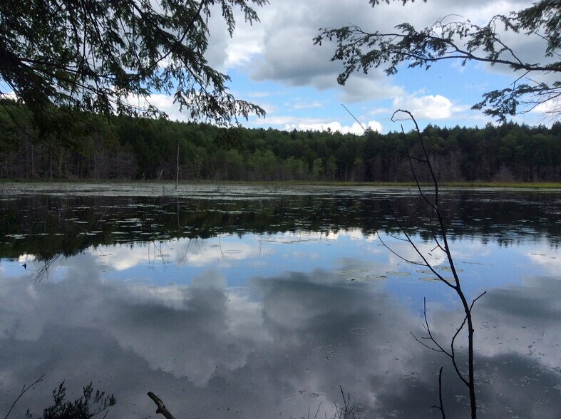 More Photos Of 2332 Old Rte 17, Windsor Township Land For Sale