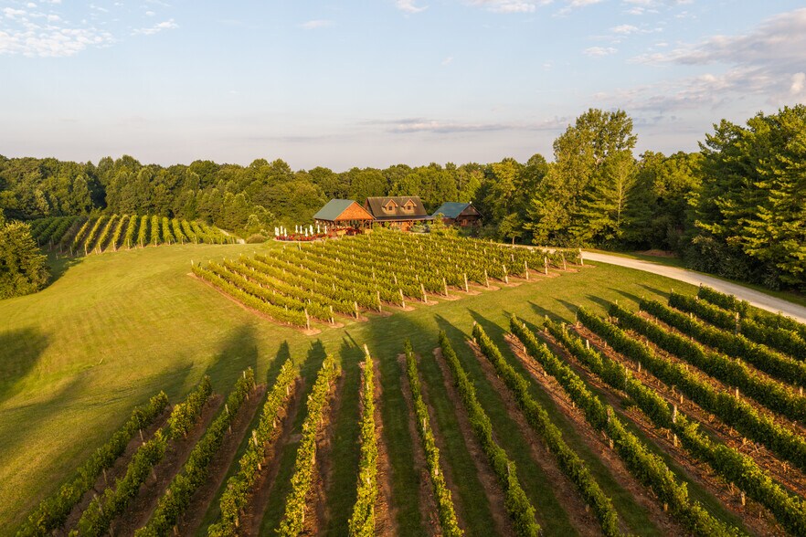 More Photos Of 401 Gilkey Ridge Rd, Shade Winery Vineyard For Sale