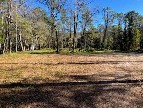 Primary Photo Of 169 Hutchinson Rd, Jacksonville Land For Sale
