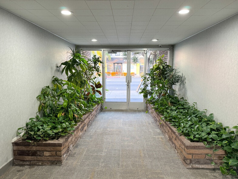 More Photos Of 8230 Beverly Blvd, Los Angeles Office For Lease