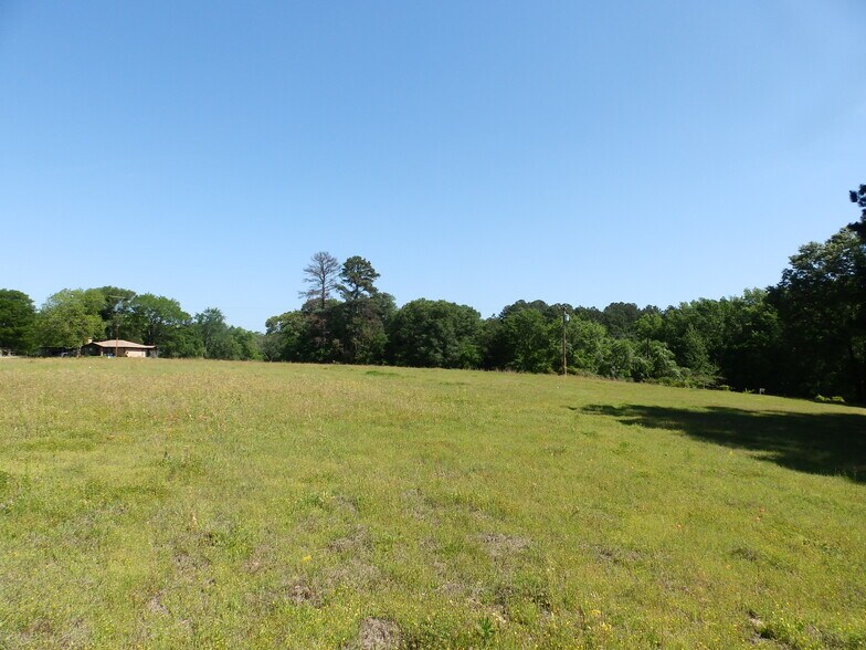 More Photos Of 3168 US Highway 175, Frankston Land For Sale