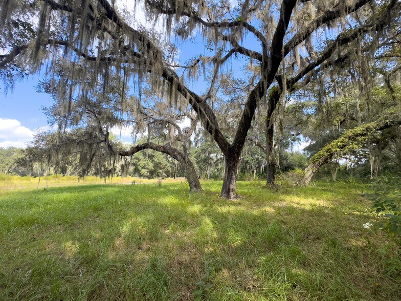More Photos Of W C 48, Bushnell Land For Sale