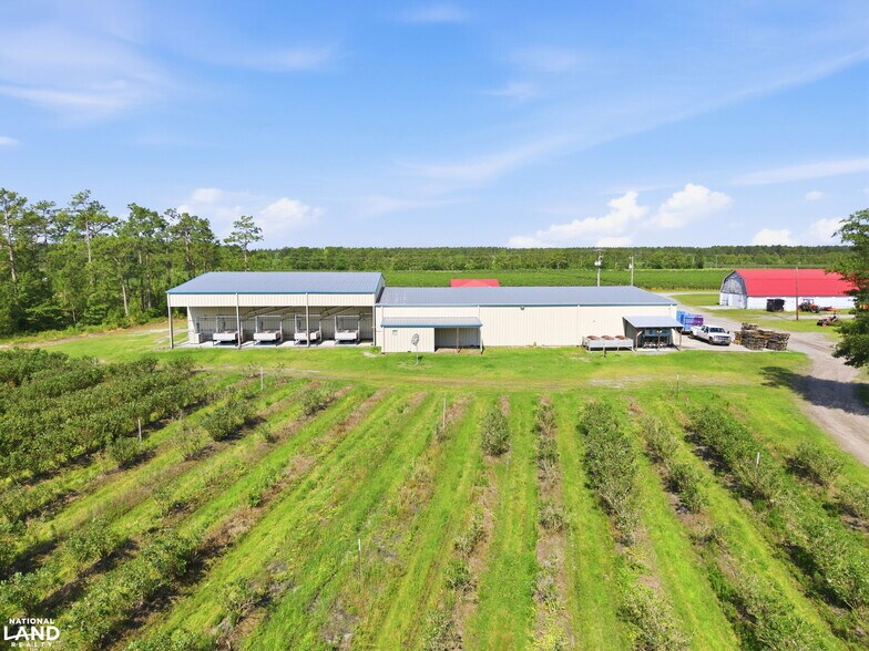 Primary Photo Of 5478 Halfway Branch School rd, Ivanhoe Land For Sale