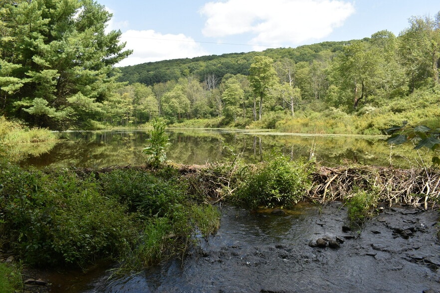 More Photos Of 2276 Old Route 17, Windsor Township Specialty For Sale