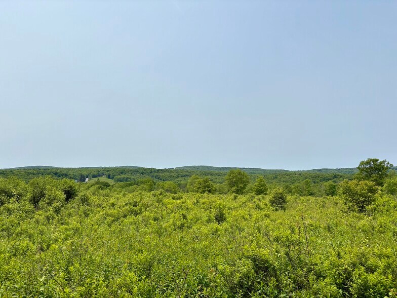 More Photos Of 263 Como Rd, Lake Como Specialty For Sale