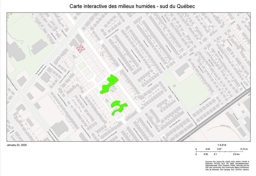 More Photos Of 49e, Montréal Land For Sale