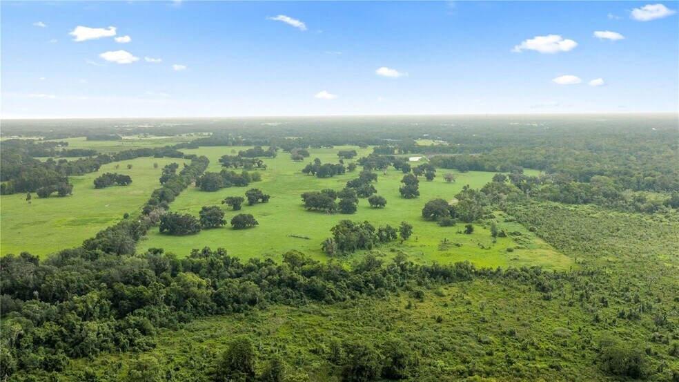 More Photos Of CR 774, Webster Land For Sale