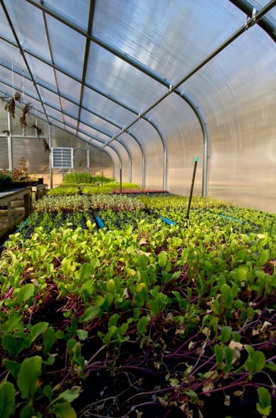 More Photos Of 391 Forest Service Rd, Blairsville Lodge Meeting Hall For Sale