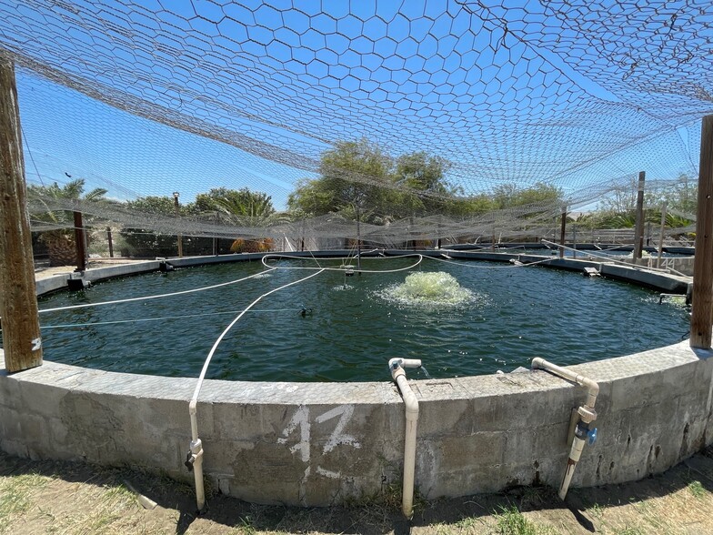 More Photos Of 19155 Corkill Rd, Desert Hot Springs Specialty For Sale