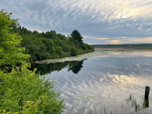 Primary Photo Of Hogsback Road, Exeland Land For Sale