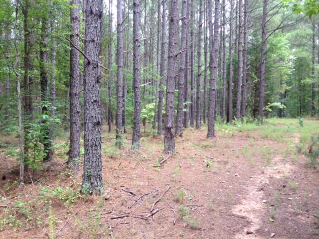 More Photos Of Alfred Ln, Newborn Land For Sale