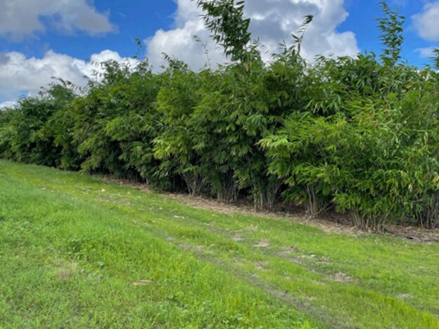 More Photos Of 1448 Broadus Williams Rd, Zolfo Springs Land For Sale