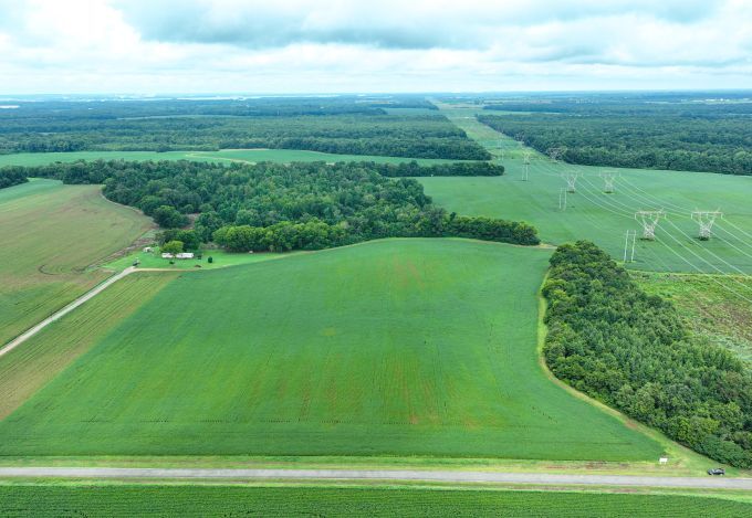 Primary Photo Of Fennell Ln, Tanner Land For Sale