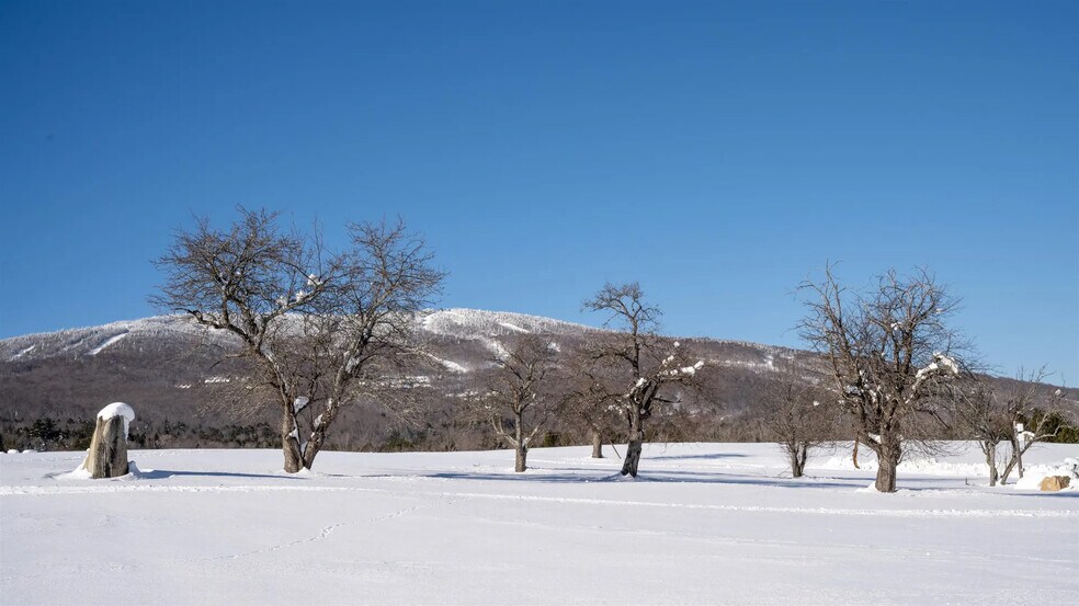 More Photos Of 85 Pallottas Hill Rd, Ludlow Land For Sale