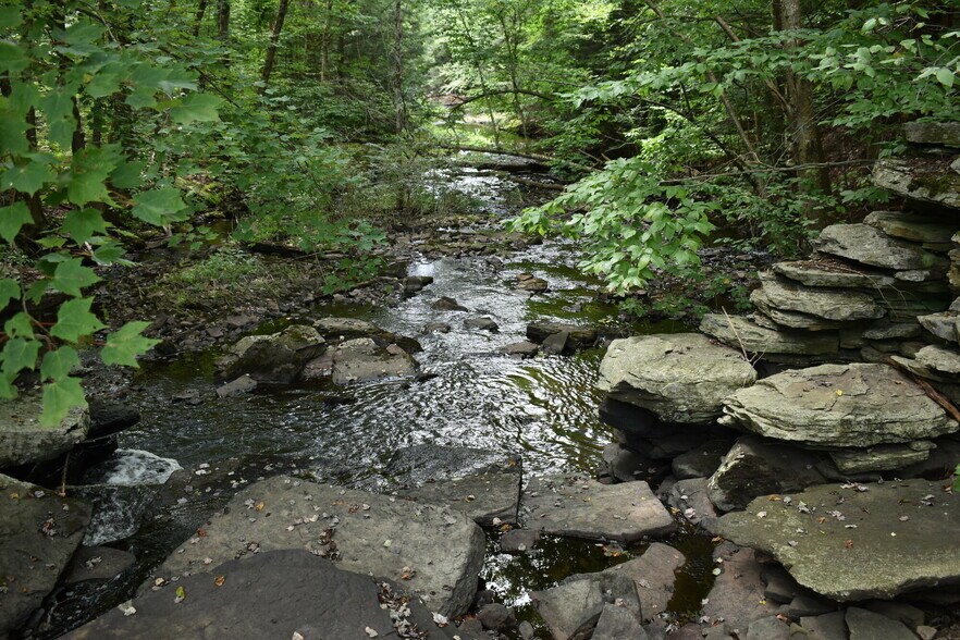 More Photos Of 2276 Old Route 17, Windsor Township Specialty For Sale