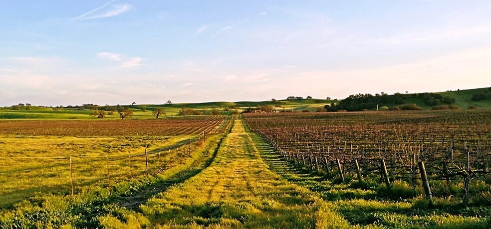 More Photos Of 5185 Union Rd, Paso Robles Winery Vineyard For Sale