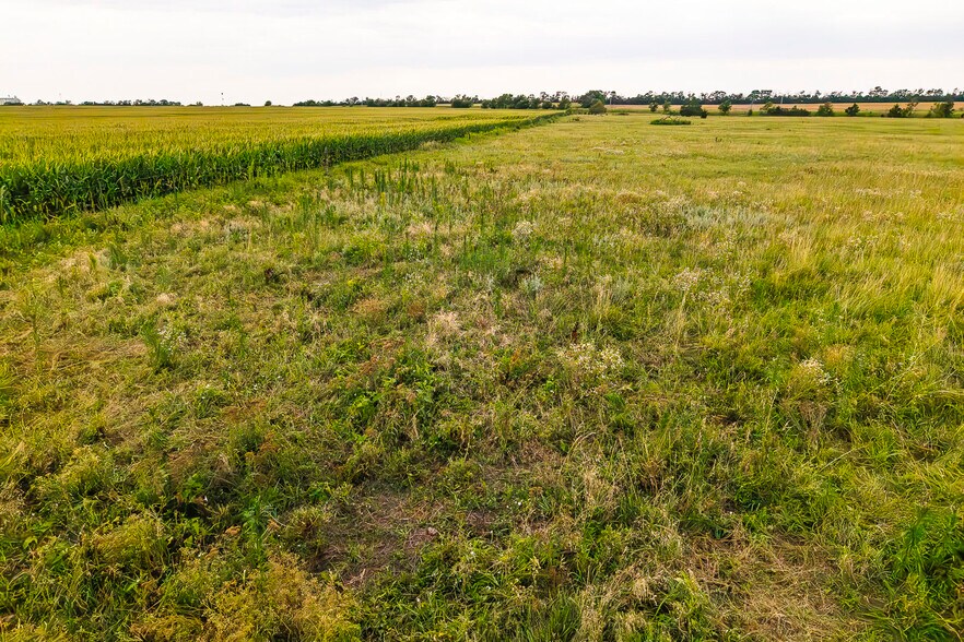 More Photos Of 7997 Webb rd, Walton Land For Sale