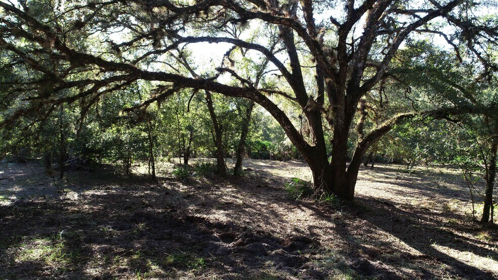 More Photos Of South Co Road 13, Orlando Land For Sale