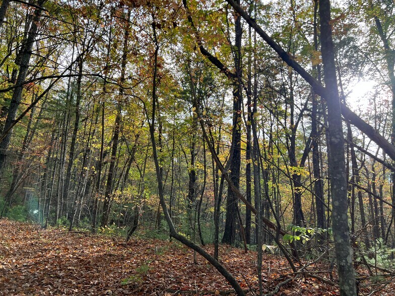More Photos Of Whitecliff Drive, Ellijay Land For Sale