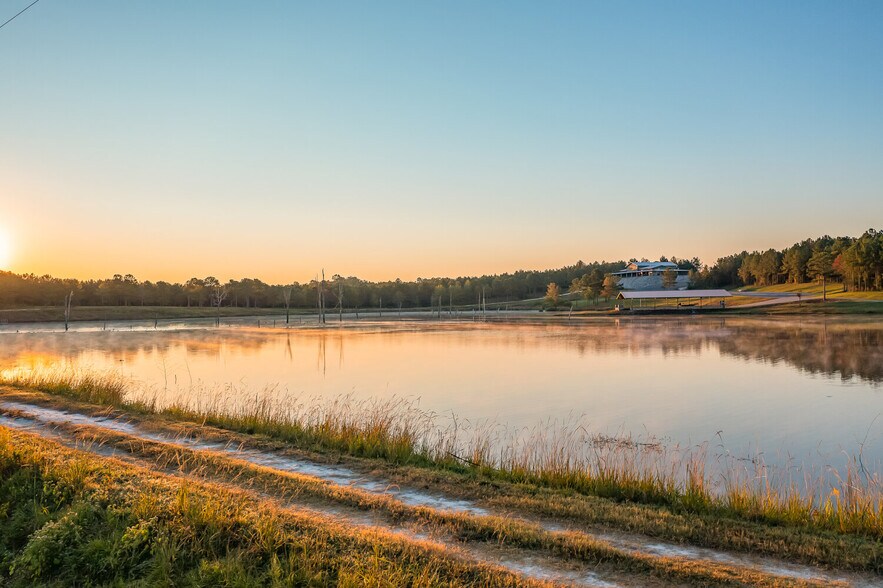 More Photos Of 18618 Hwy 43, Linden Land For Sale