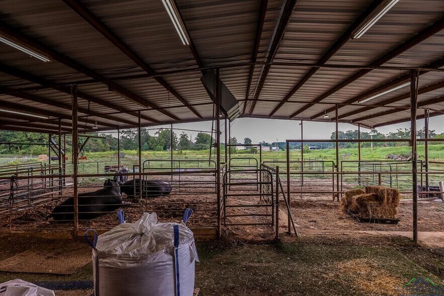 More Photos Of 1024 US Highway 59 N, Carthage Veterinarian Kennel For Sale