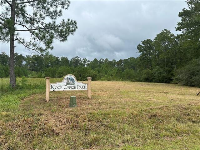 Primary Photo Of Lot 10 Commerce Row, Mandeville Land For Sale