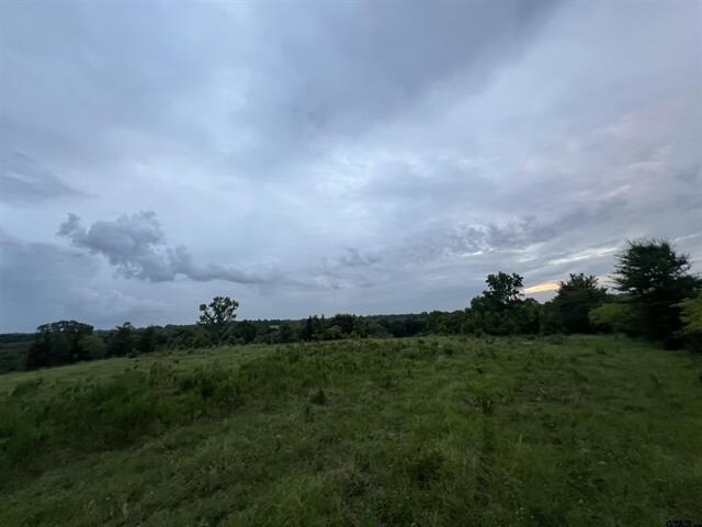 More Photos Of 12251 FM 16 E, Winona Land For Sale