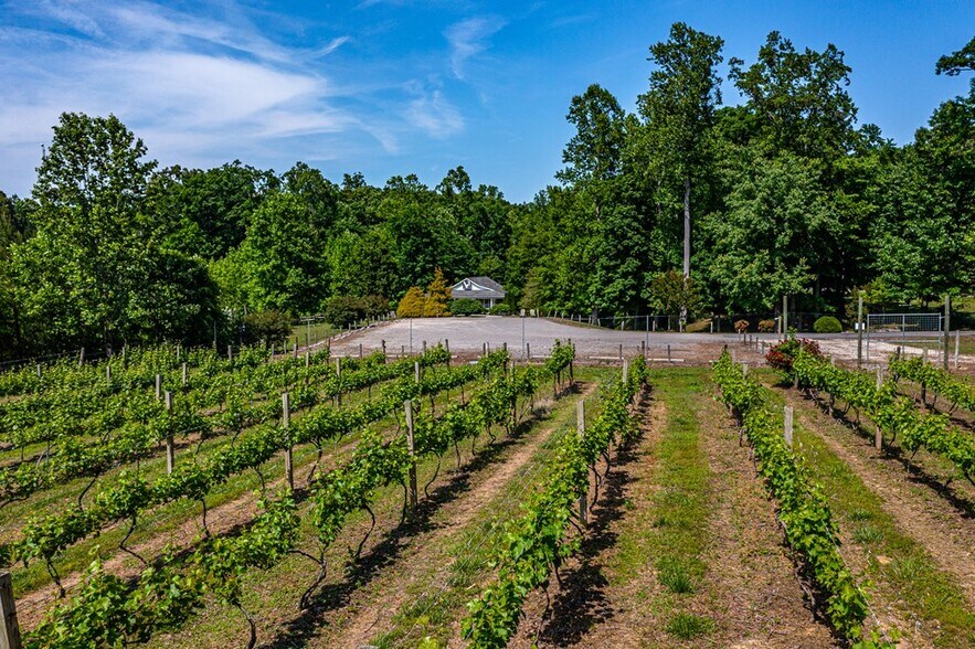 More Photos Of 3138 Jessie DuPont Memorial Hwy, Heathsville Winery Vineyard For Sale