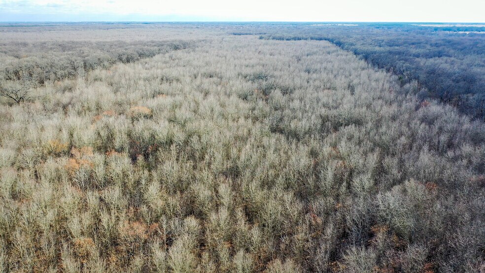 More Photos Of 1200 County 1255 rd, Detroit Land For Sale