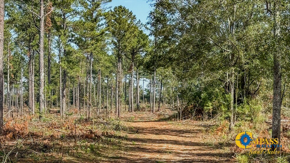 Seven Island Road, Madison, GA 30650 Land For Sale