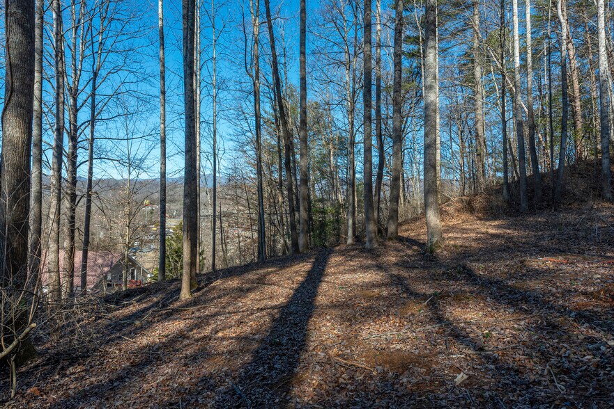 More Photos Of 717 Bat Cave Rd, Old Fort Land For Sale